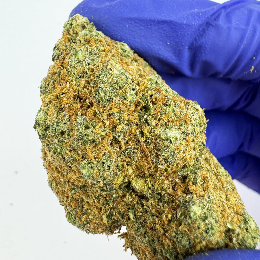 L.A CALI (CALIFORNIA GENETICS)