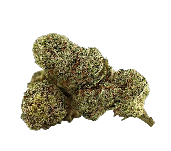 Cali GMO Cookies THCX 2.0