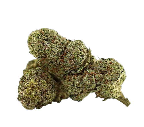 Cali GMO Cookies THCX 2.0