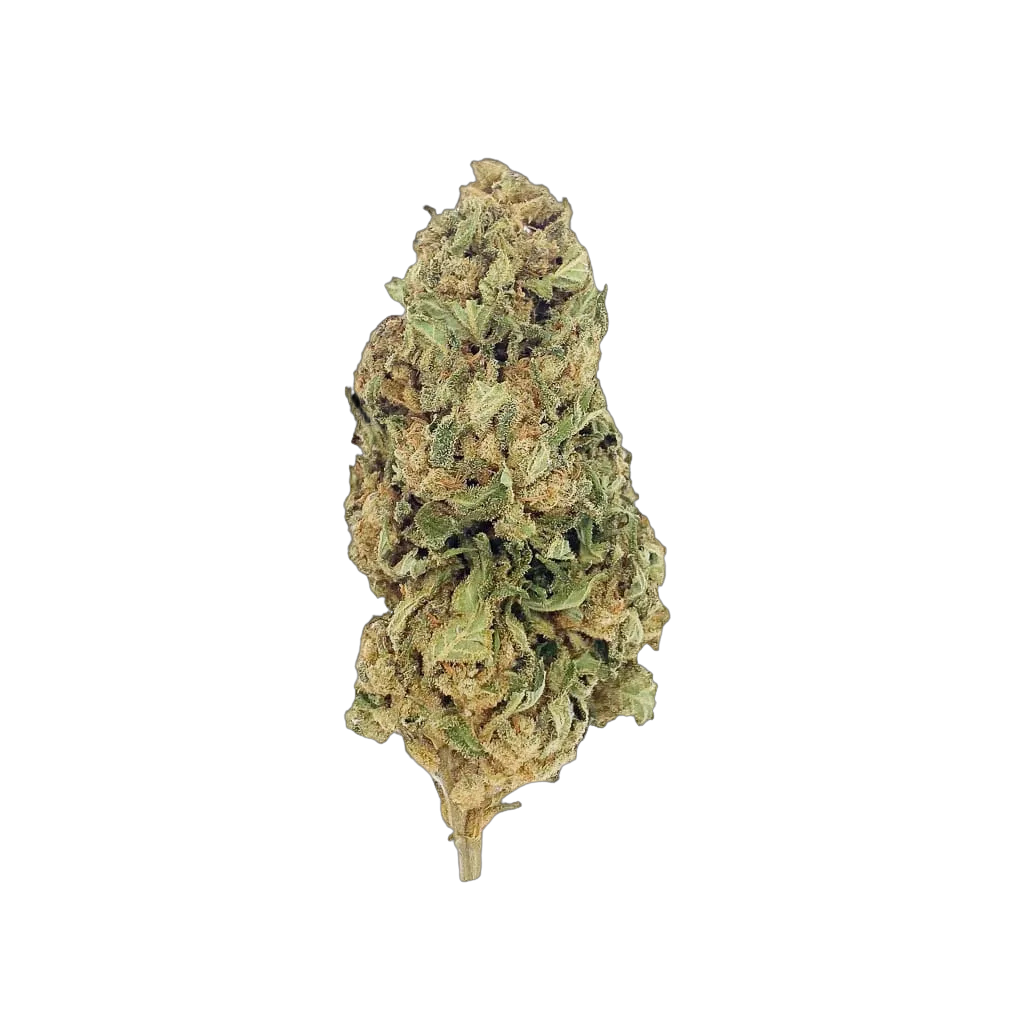 Green Diesel TH-X