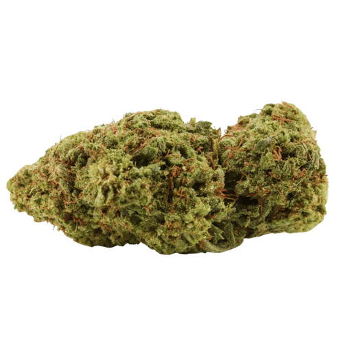 Orange Bud CBX