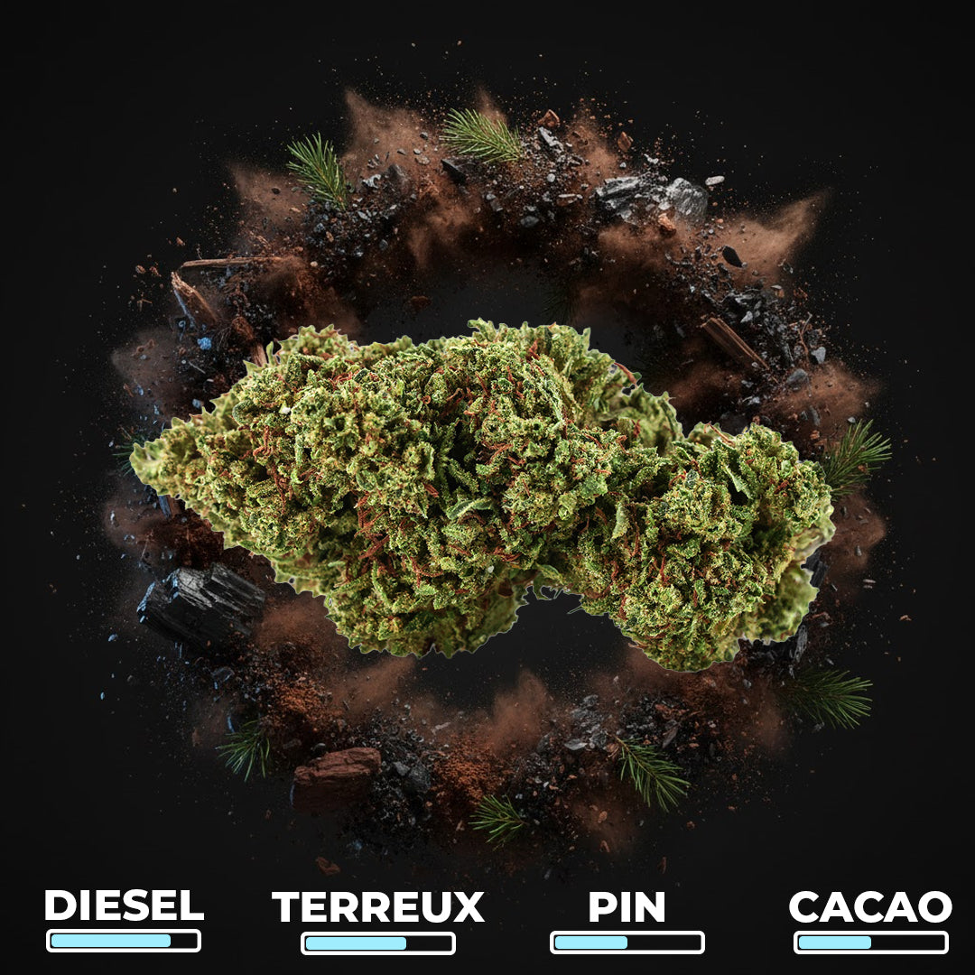 Gorilla Glue CBX