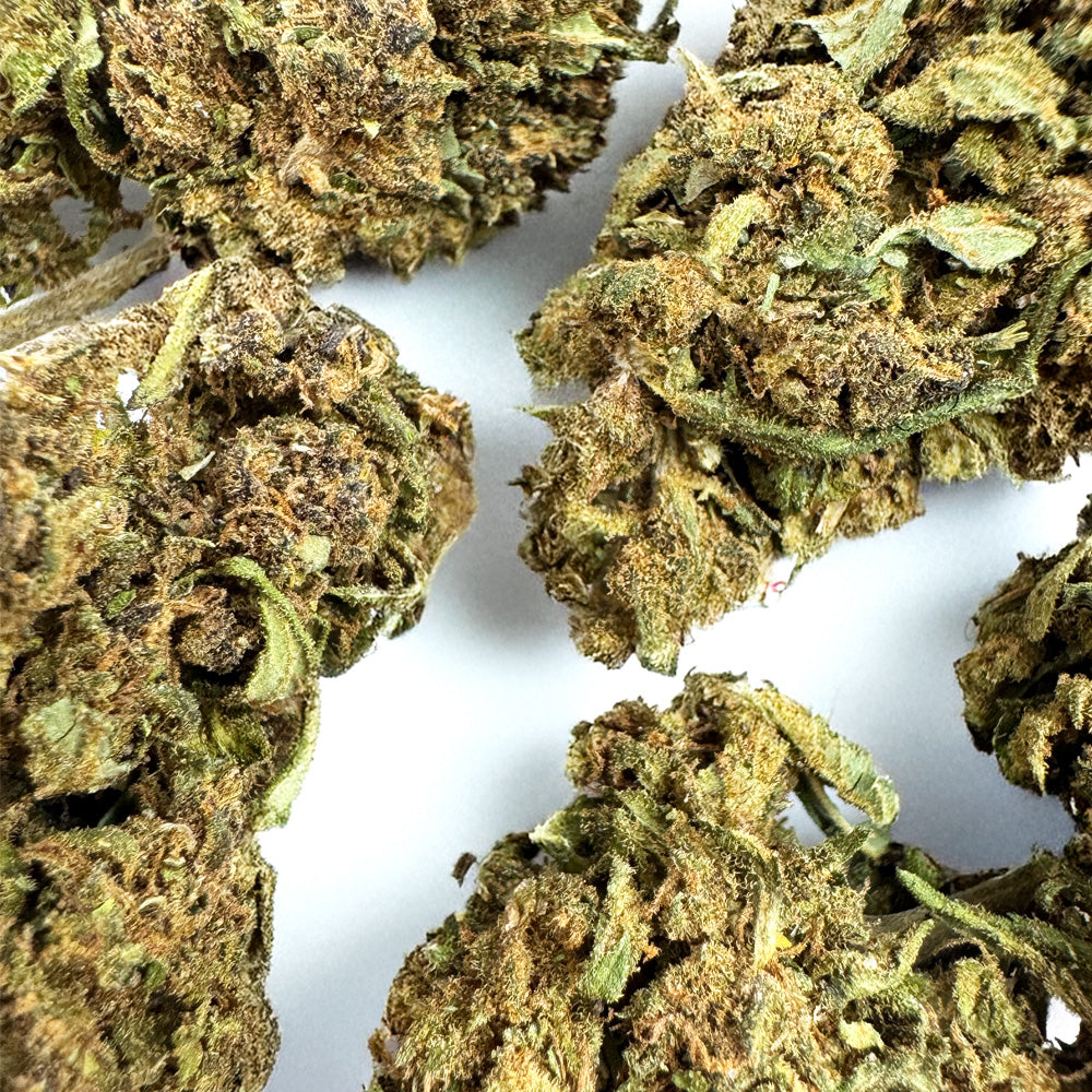 Fleurs de cannabis Lemon Haze 2.0 de DELI-CANNA, trichomes brillants et bourgeons verts parfumés au citron.