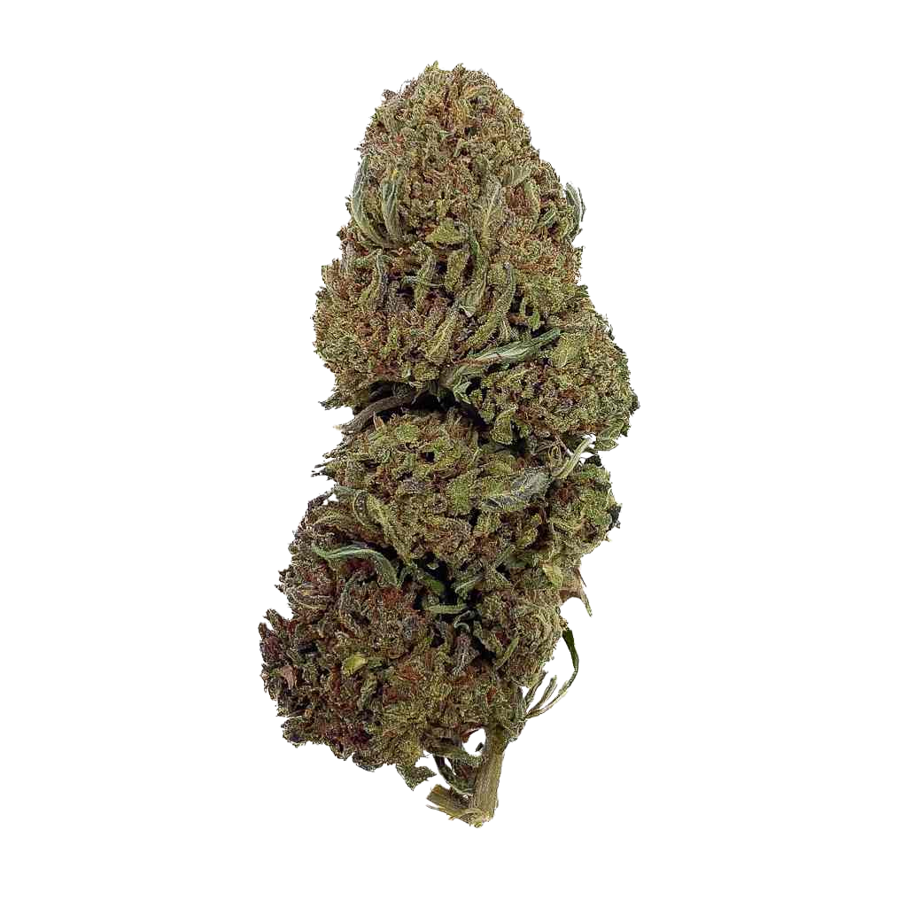 Fleurs de cannabis Jack Herer de la marque DELI-CANNA, 3g avec 20% THCX, bourgeons verts et résineux en gros plan