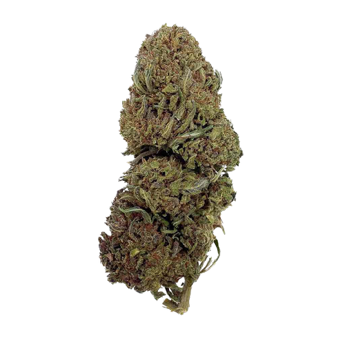 Jack Herer | 20% THCX 2.0
