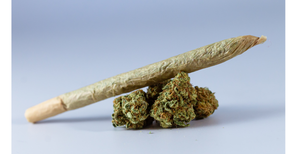 Nos nouveautés CBD chez Deli Canna