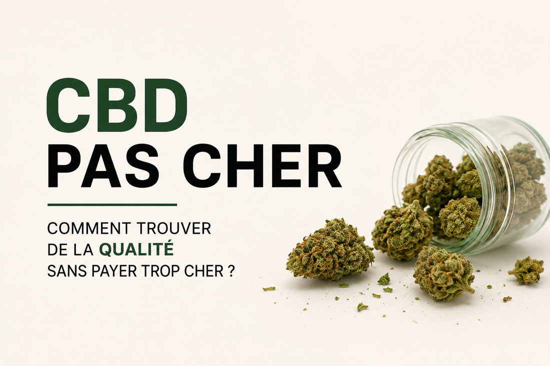 CBD pas cher : comment trouver de la qualité sans payer trop cher ?