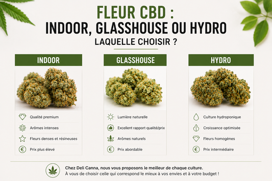 Fleur CBD Indoor, Glasshouse ou Hydro : laquelle choisir ?