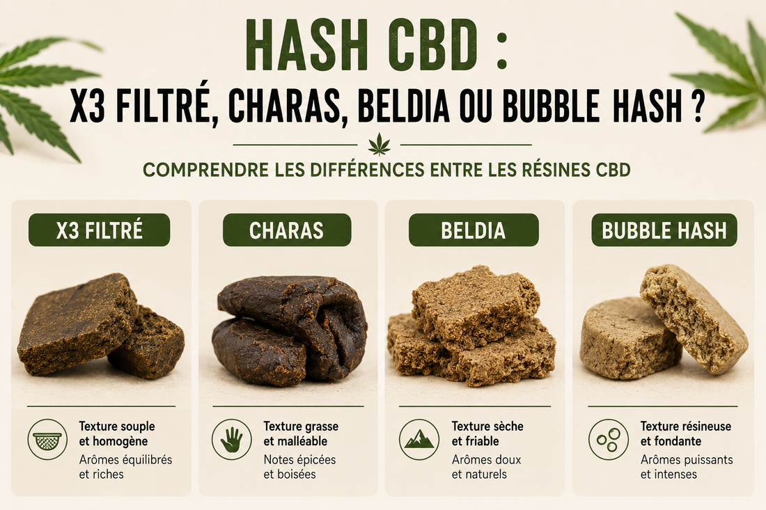 Hash CBD : x3 Filtré, Charas, Beldia ou Bubble Hash ?