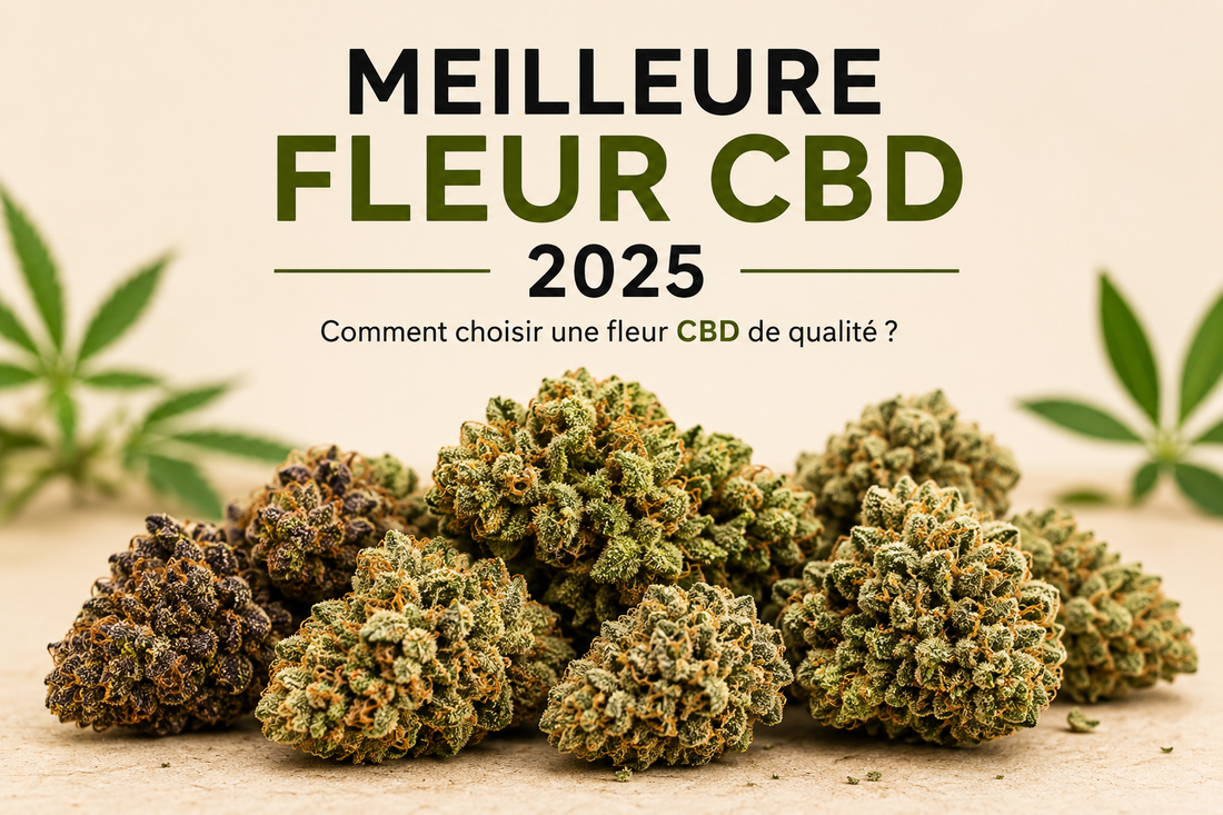 Quelle est la meilleure fleur CBD en 2025 ?
