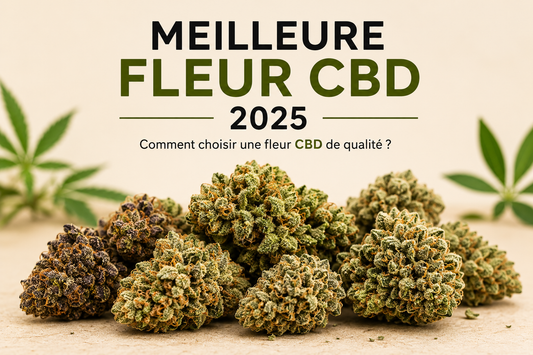 Quelle est la meilleure fleur CBD en 2025 ?