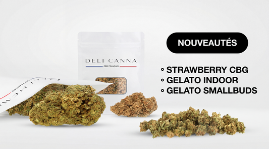 Nos nouveautés CBD chez Deli Canna