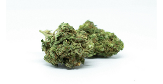CBD Top Shelf : Comment Reconnaître une Fleur CBD Premium ?