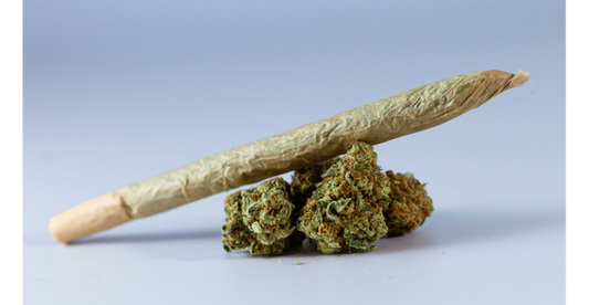 Fleurs CBD transformées : crystal trim