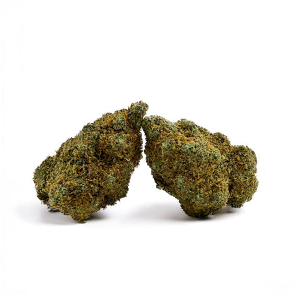L.A CALI (CALIFORNIA GENETICS)