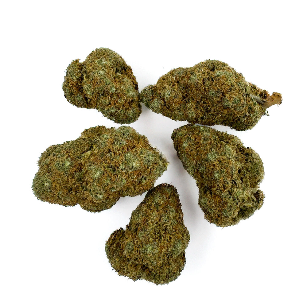L.A CALI (CALIFORNIA GENETICS)