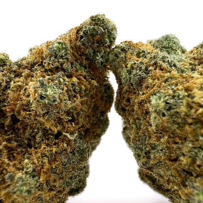 L.A CALI (CALIFORNIA GENETICS)