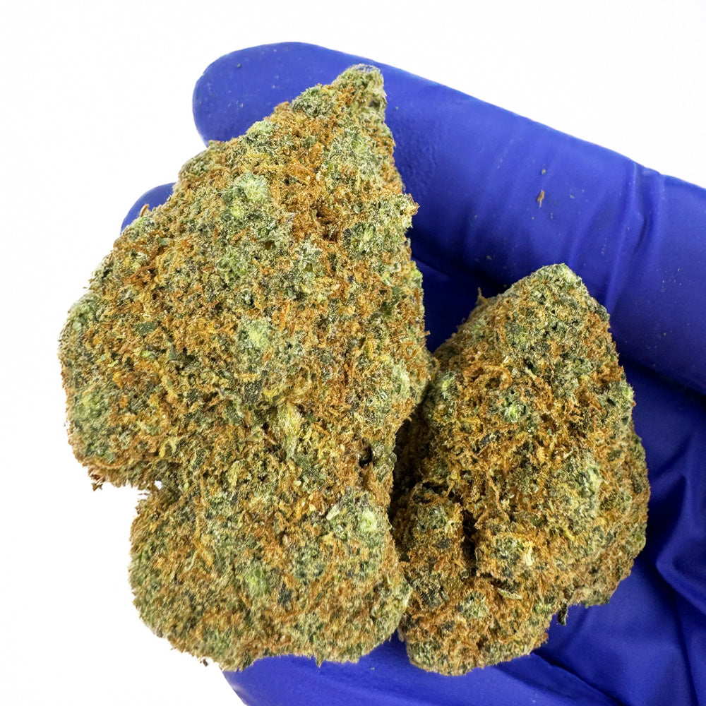 L.A CALI (CALIFORNIA GENETICS)