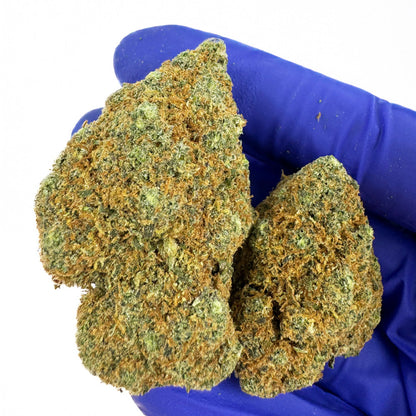 L.A CALI (CALIFORNIA GENETICS)