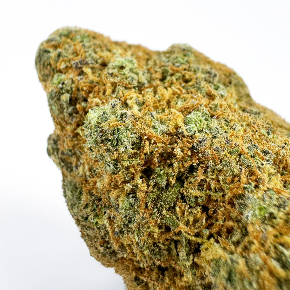 L.A CALI (CALIFORNIA GENETICS)
