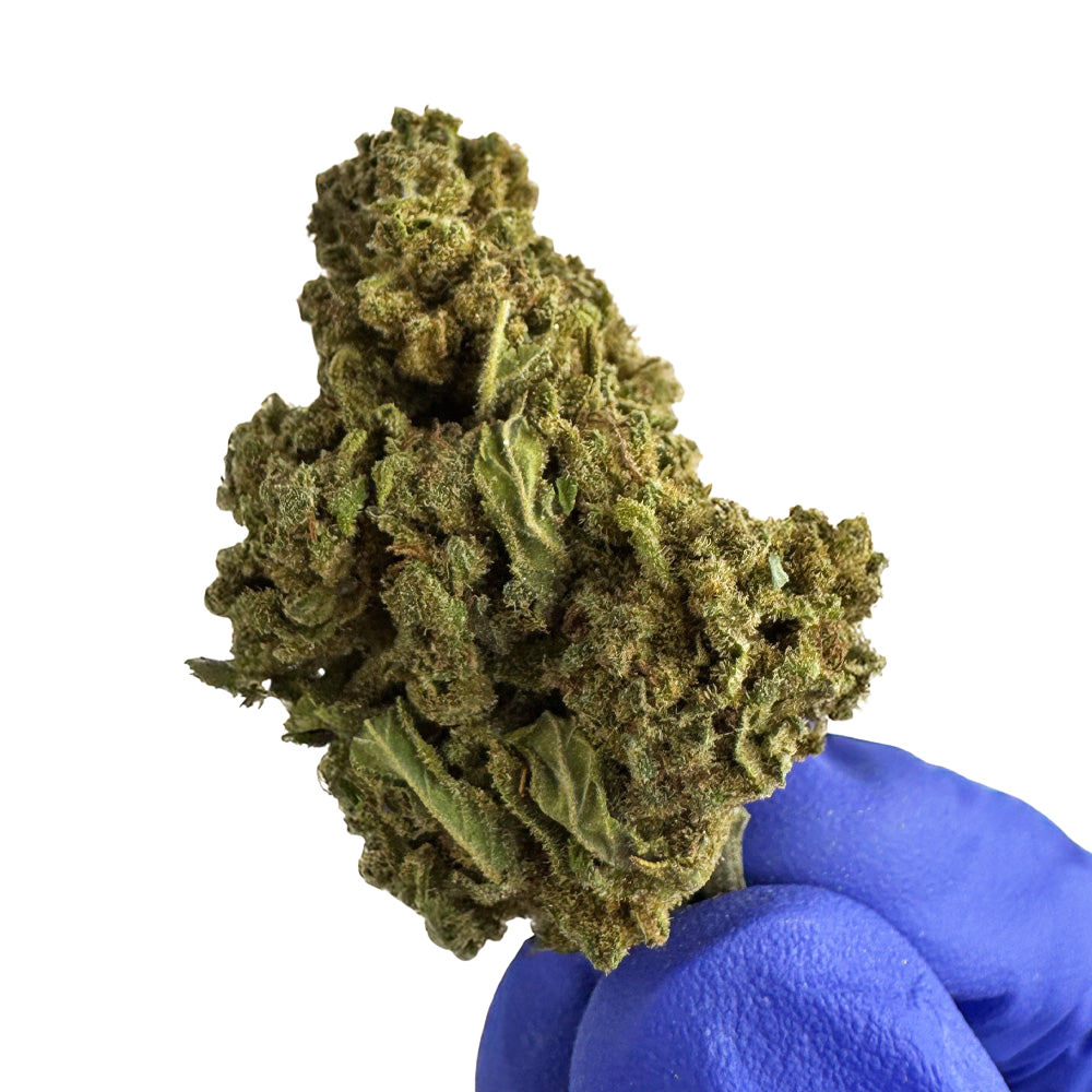 Bubble gum