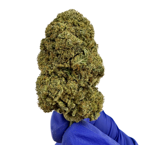 Gelato OG