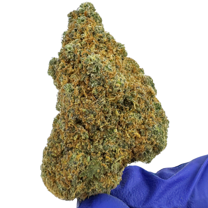 L.A CALI (CALIFORNIA GENETICS)