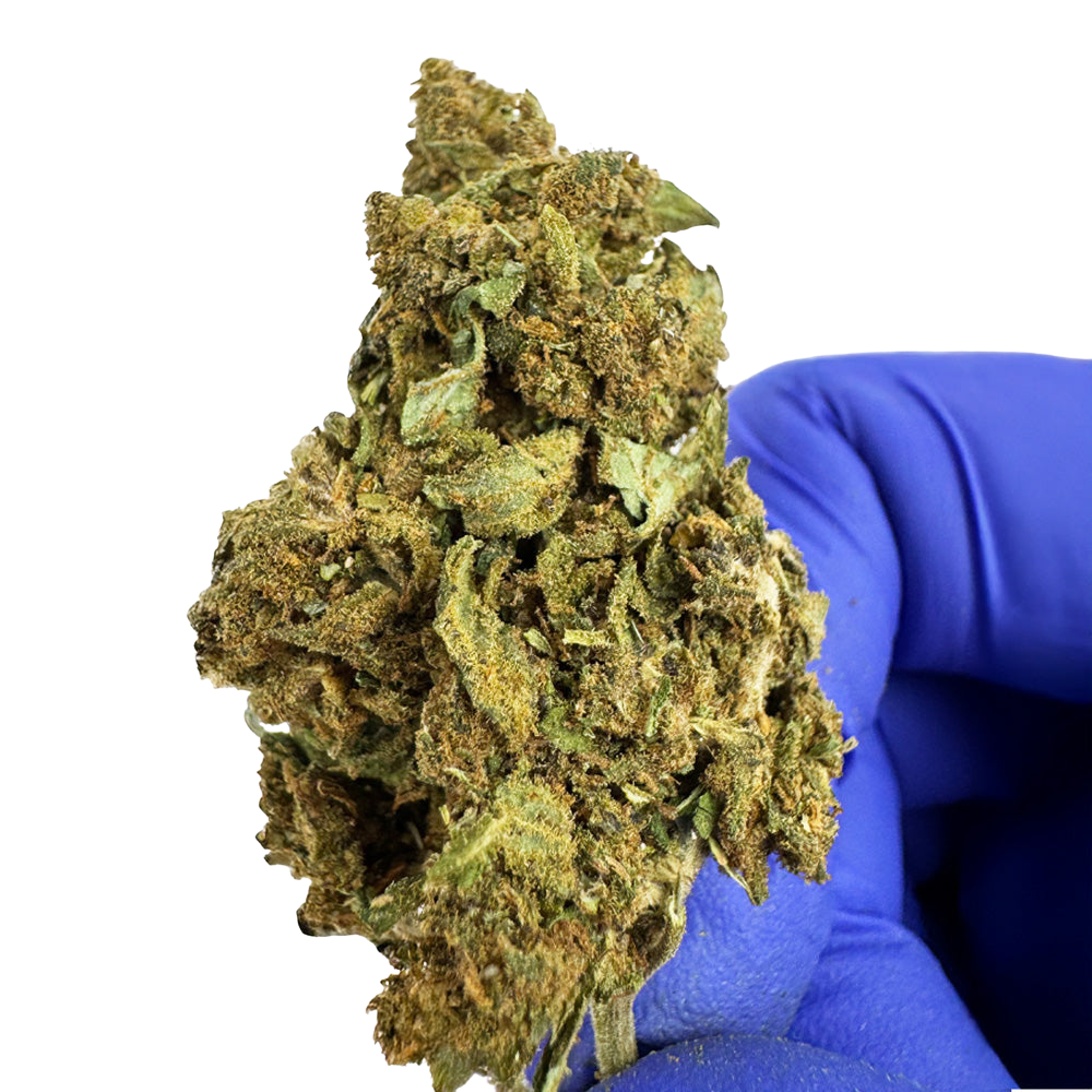 Lemon Haze 2.0