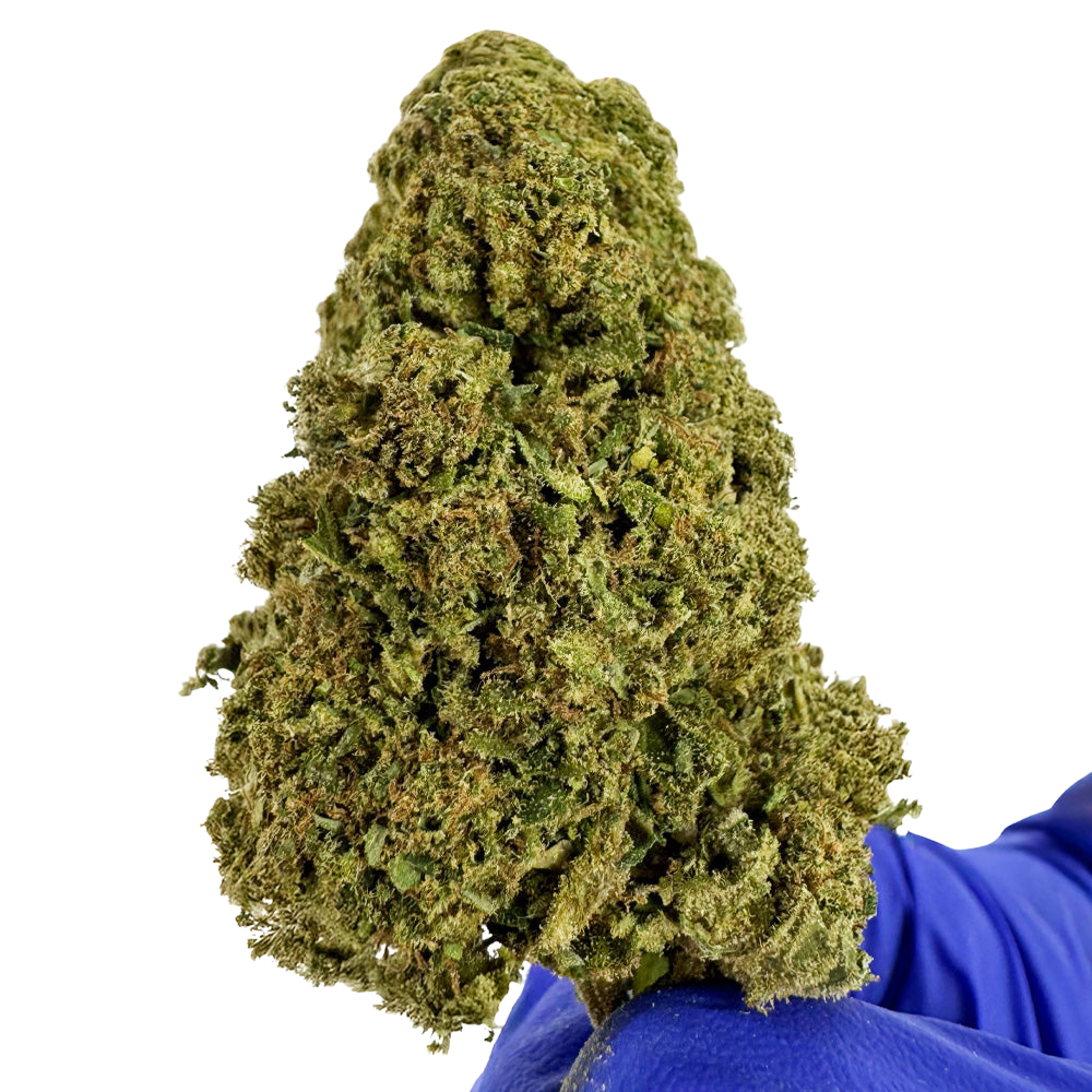 Super Lemon
