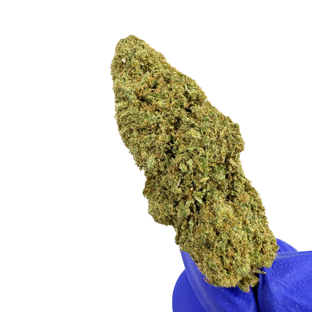 CRITICAL 2.0