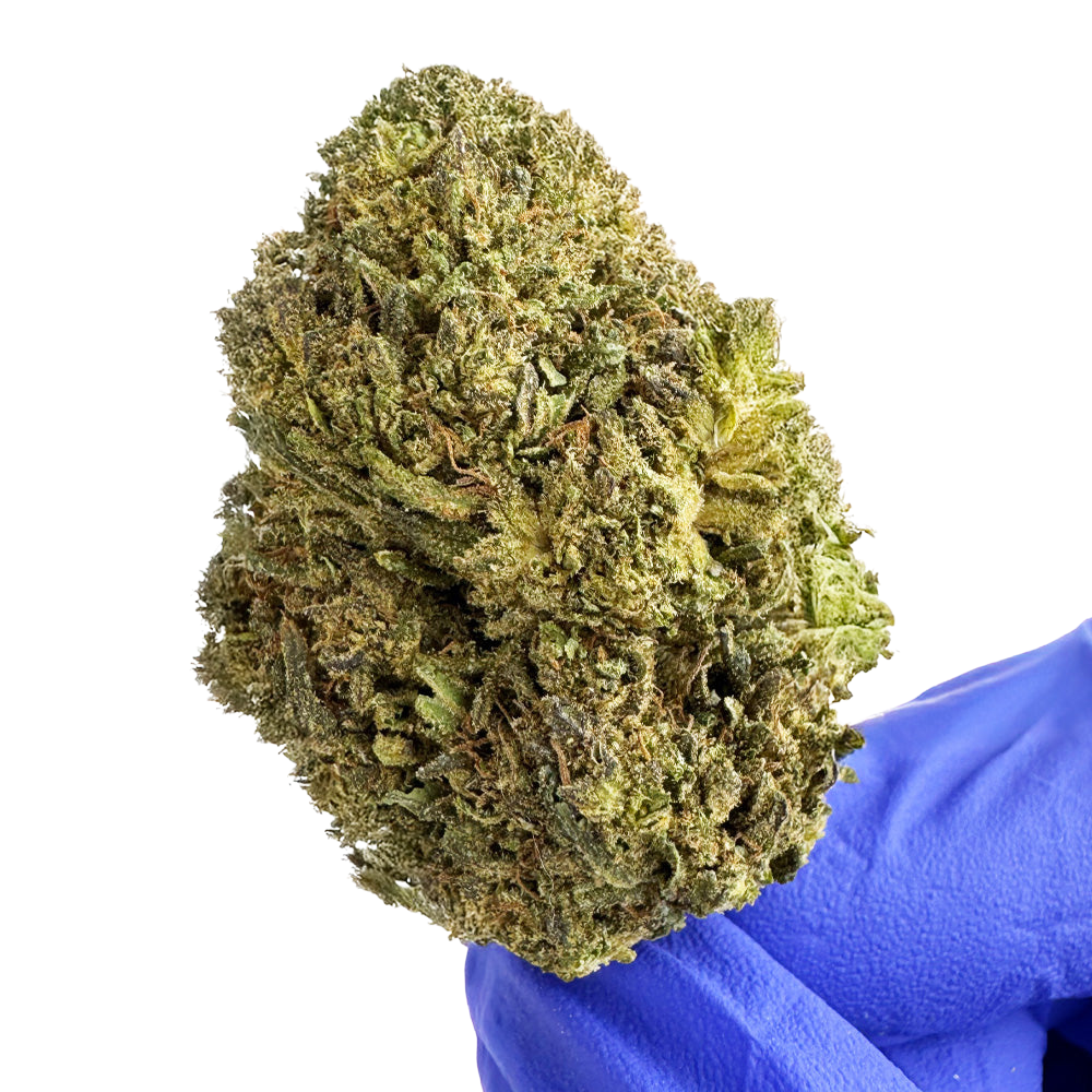 OG Kush