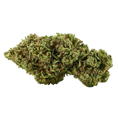 Gorilla Glue CBX