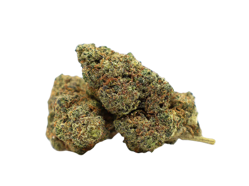 White Widow 10-OH-HHC