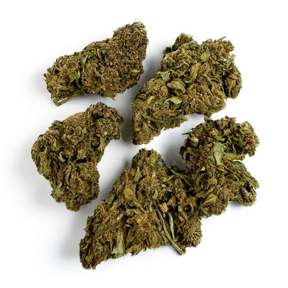 Lemon Haze 2.0