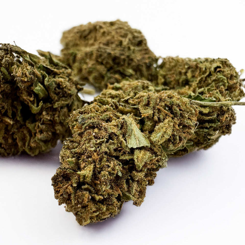 Lemon Haze 2.0