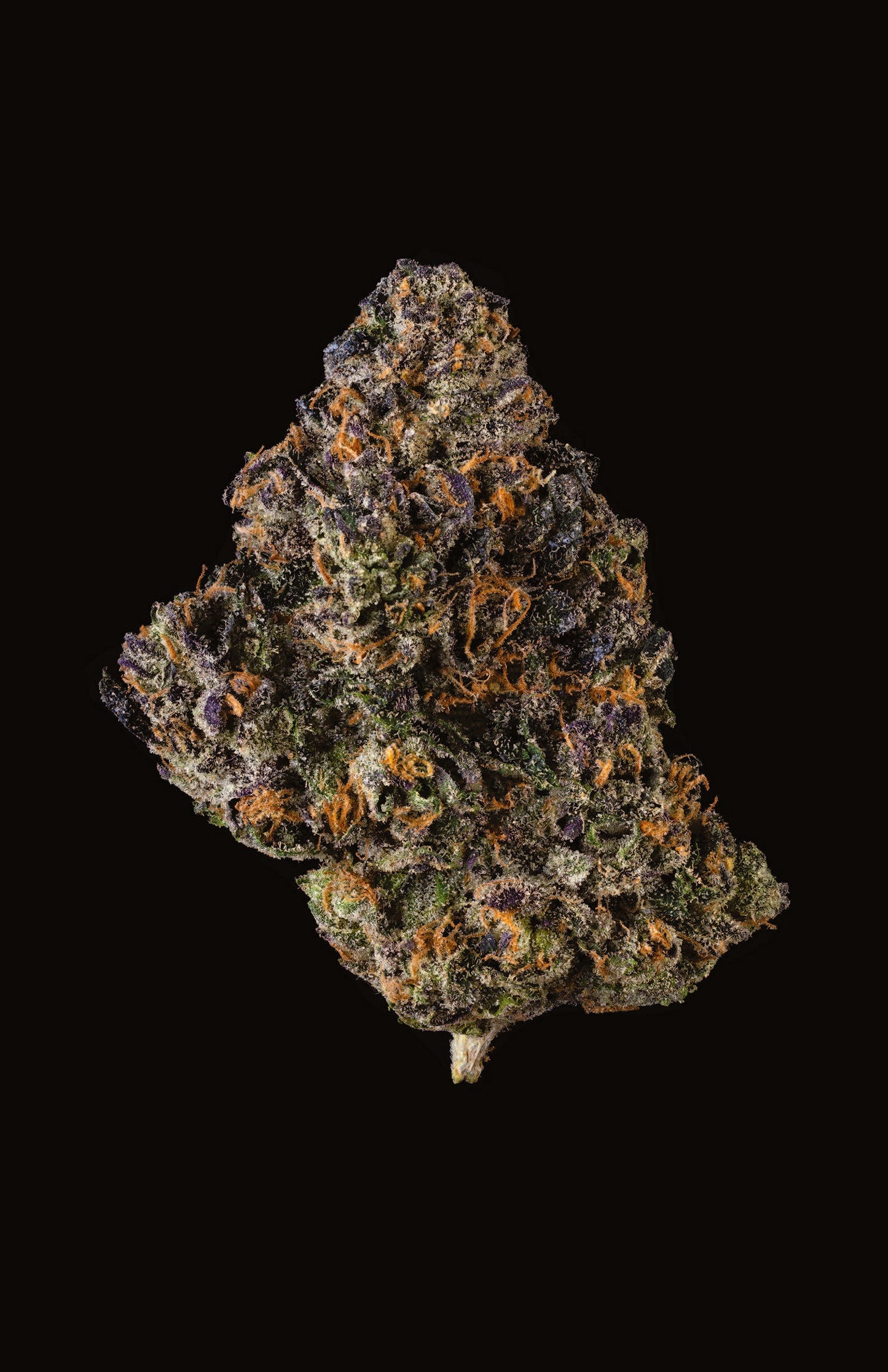 Shake G3 Blueberry Caviar X Pom de Cookies Europe, boisson aux myrtilles et grenade dans un verre transparent.
