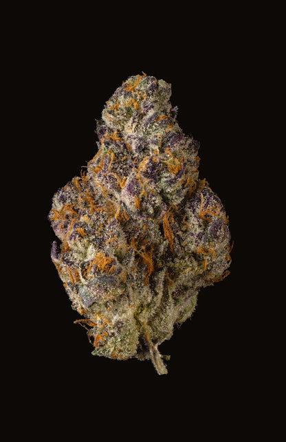 Femme portant le H6 Pruno X Blueberry Caviar de Cookies Europe avec une texture visible de caviar à la myrtille.