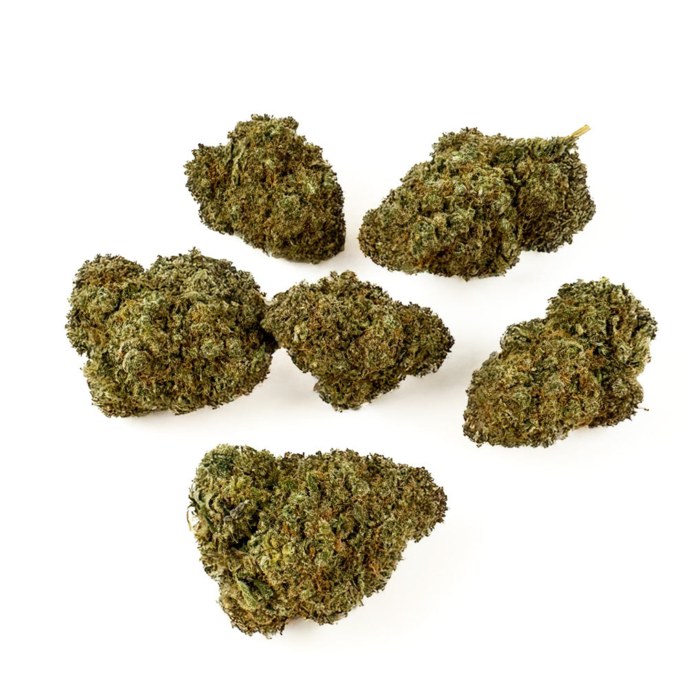 Girl Scoot Cookies