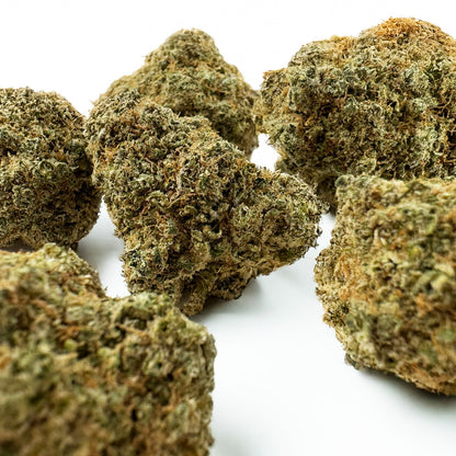 Girl Scoot Cookies