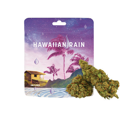 Fleur CBD Hawaiin Rain de la marque Cookies, vue détaillée de la fleur de cannabis avec trichomes et pistils orange.