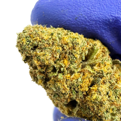Zkittlez