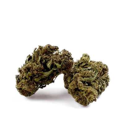 Branche de cannabis Lemon Haze 2.0 de DELI-CANNA, fleurs de cannabis vertes avec trichomes et pistils orange.