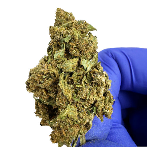 Lemon Haze 2.0