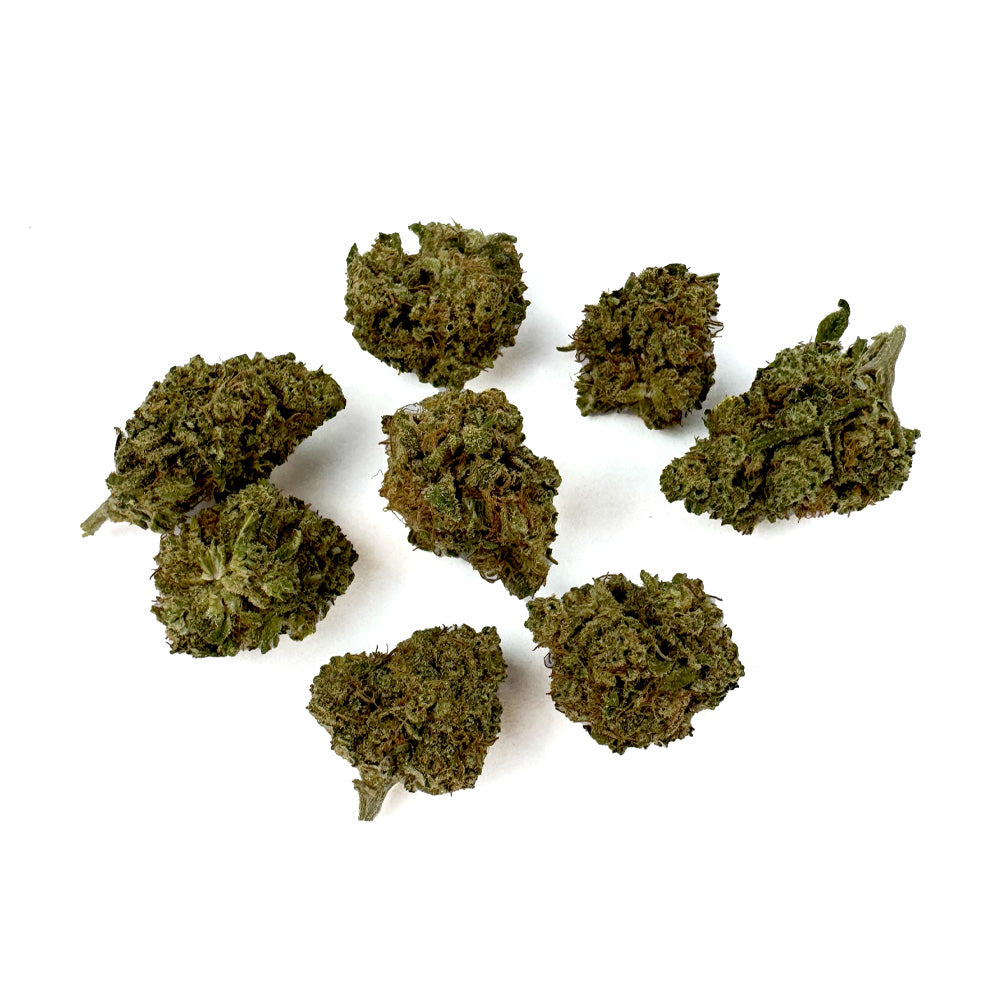 Fleurs de cannabis DreamBerry de DELI-CANNA, variété DreamBerry, en pot de 3,5 g, visible en gros plan.
