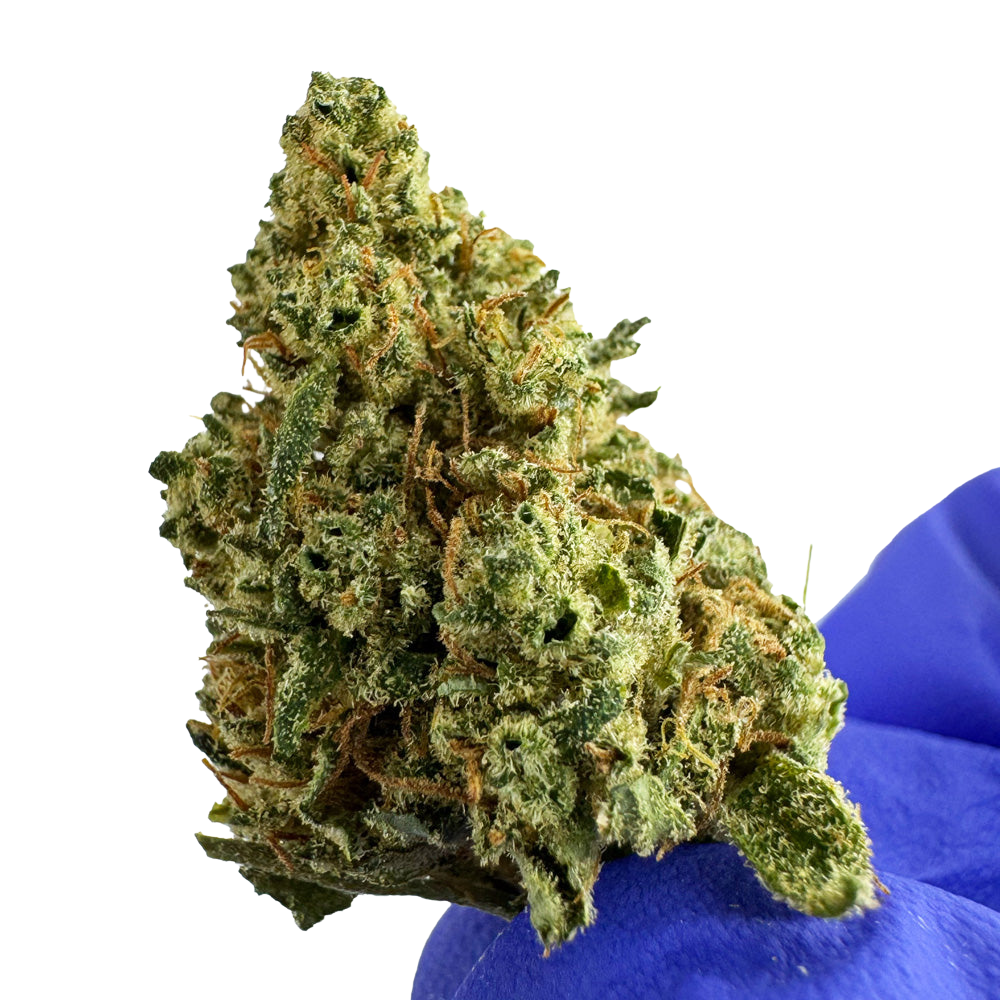 Fleurs de cannabis DreamBerry de DELI-CANNA, 3g dans un emballage transparent, avec des bourgeons verts et aromatiques.