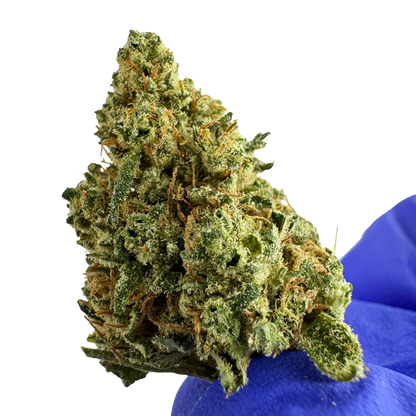Fleurs de cannabis DreamBerry de DELI-CANNA, 3g dans un emballage transparent, avec des bourgeons verts et aromatiques.