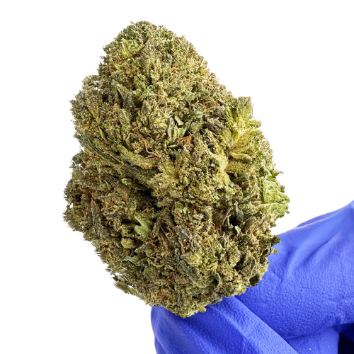 OG Kush