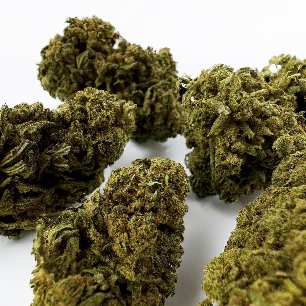 Colle Gorilla Glue de DELI-CANNA en tube de 3g ou 4,10g, avec application visible sur l'emballage.