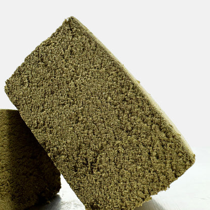 Fleurs de cannabis Cali Haze de DELI-CANNA, résineuses et vertes, en bouquet pour la consommation de cannabis.