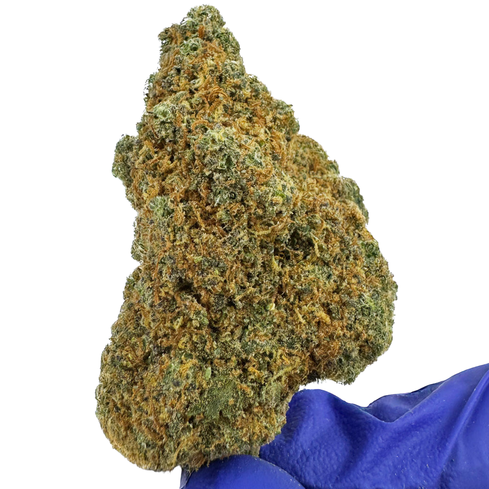 Fleurs de cannabis L.A CALI de California Genetics par Deli-Canna, floraison verte avec trichomes visibles.